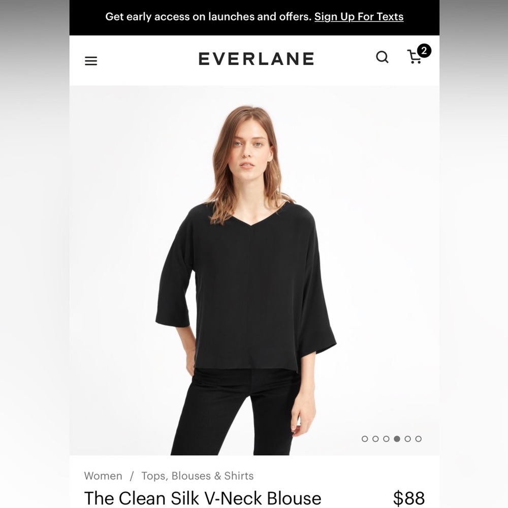 ISO - EVERLANE silk v-neck blouse sz 10